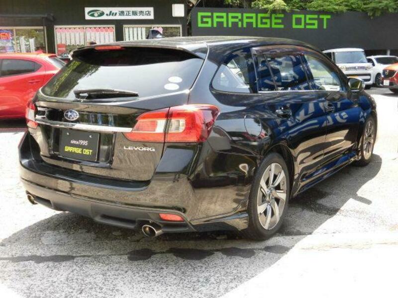 LEVORG
