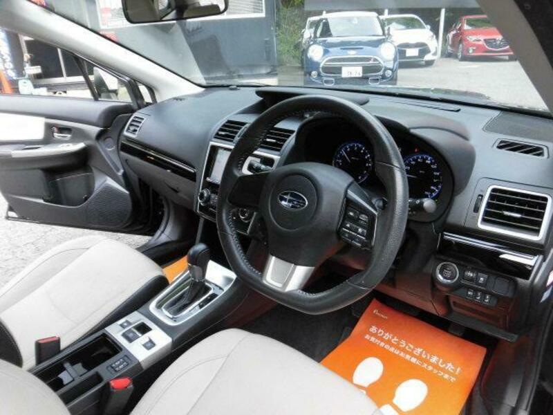 LEVORG