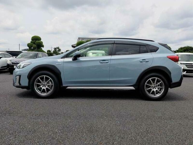 XV