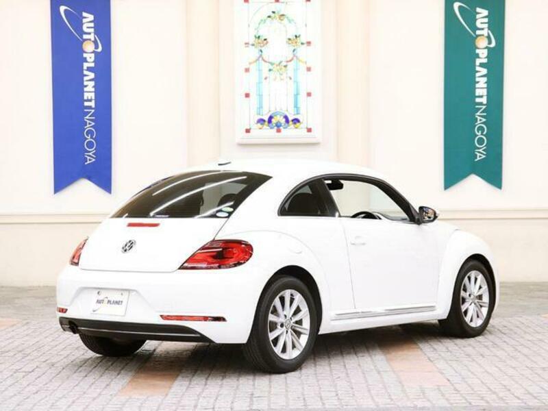 THE BEETLE