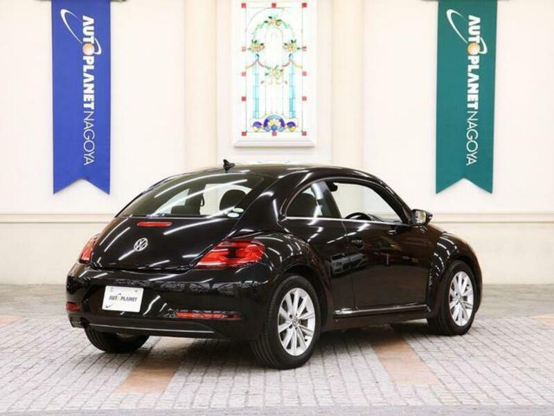 THE BEETLE