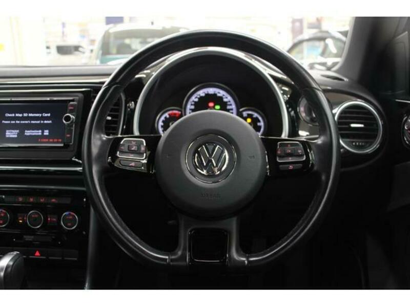 THE BEETLE