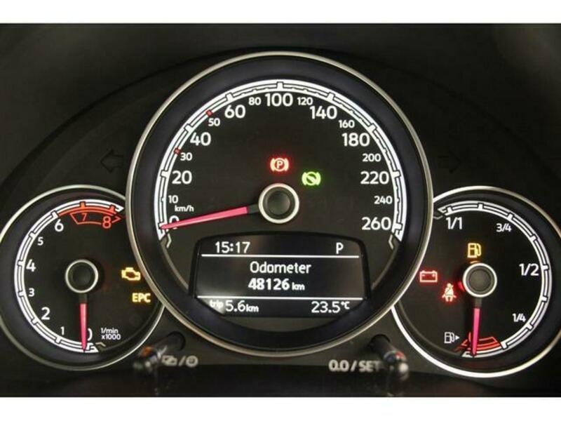 THE BEETLE