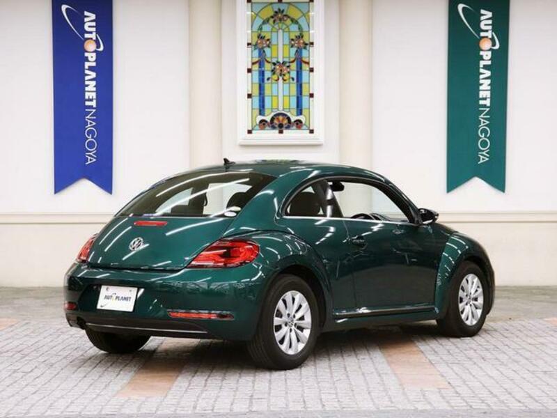 THE BEETLE