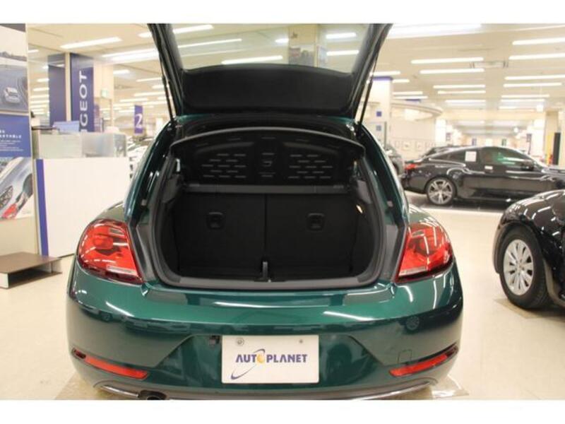 THE BEETLE