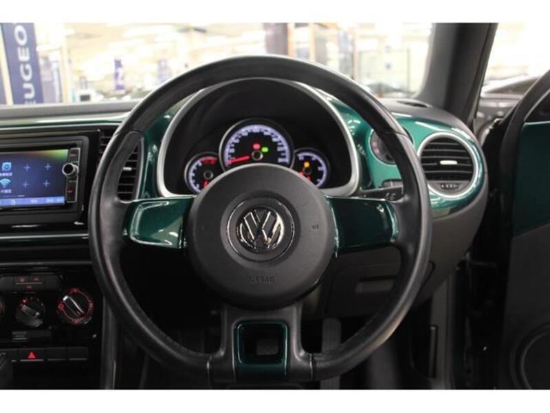 THE BEETLE