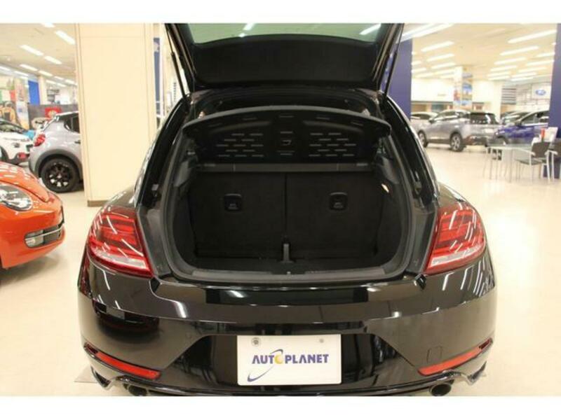 THE BEETLE