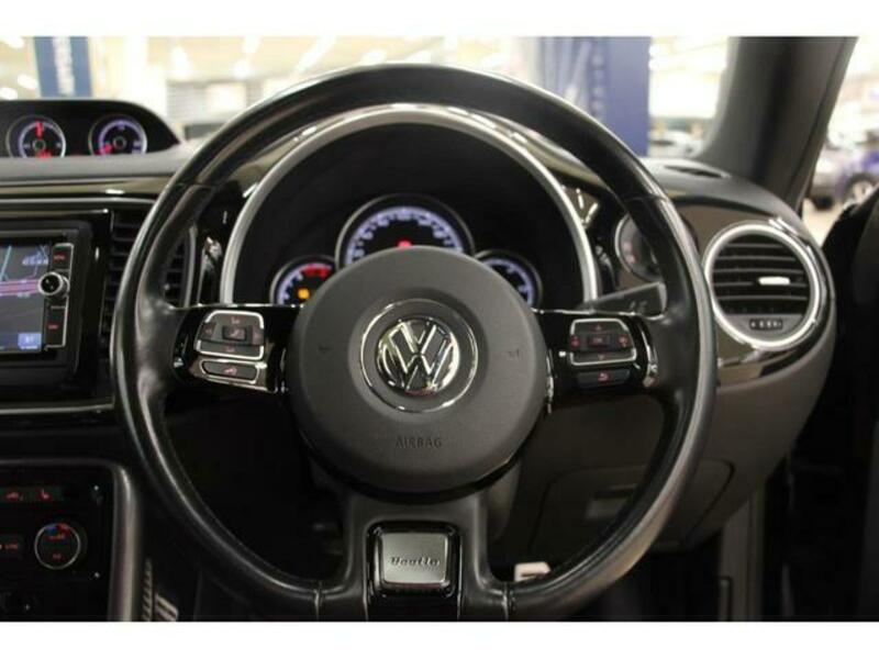 THE BEETLE
