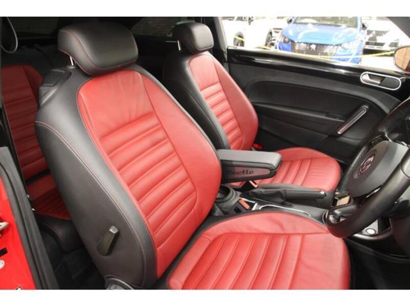 THE BEETLE