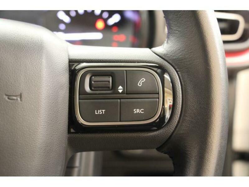 C3