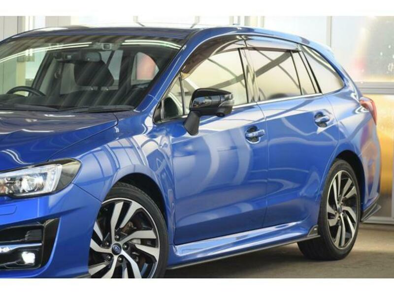 LEVORG