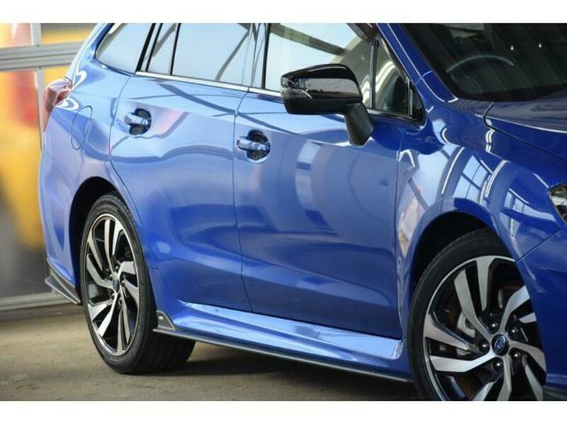 LEVORG