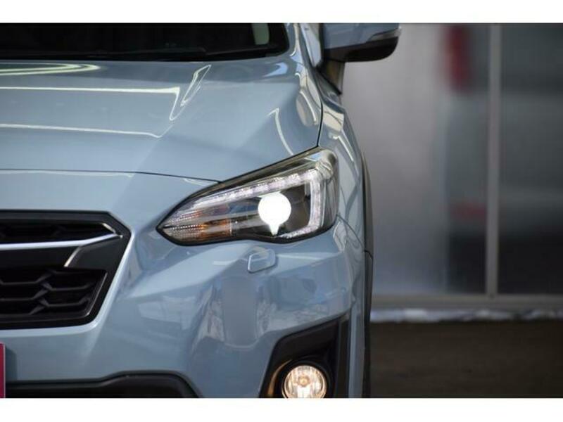 XV