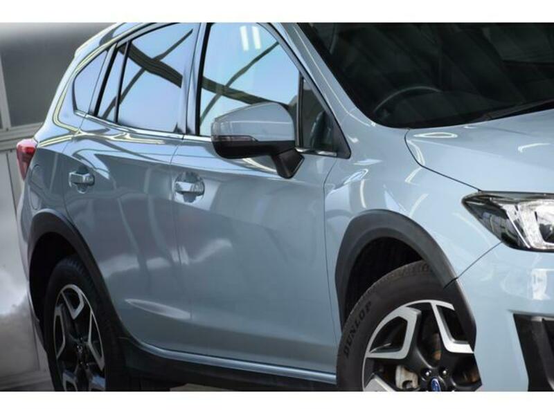 XV