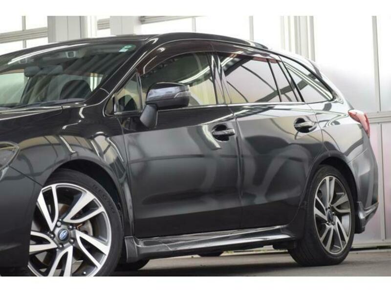 LEVORG