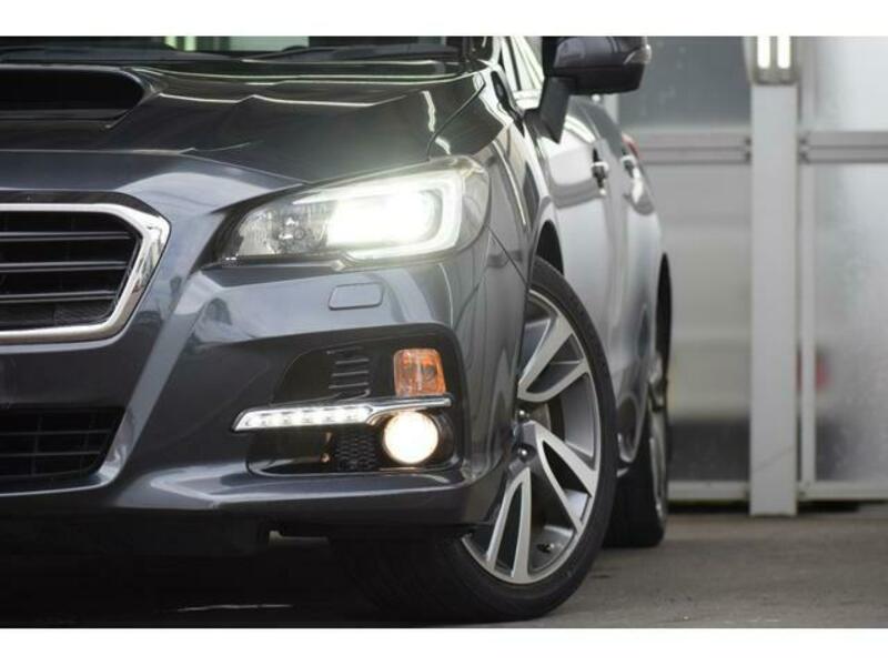 LEVORG