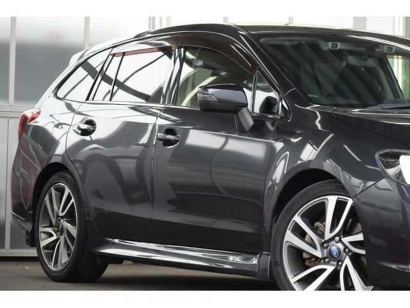 LEVORG