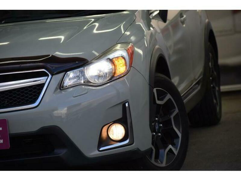 XV