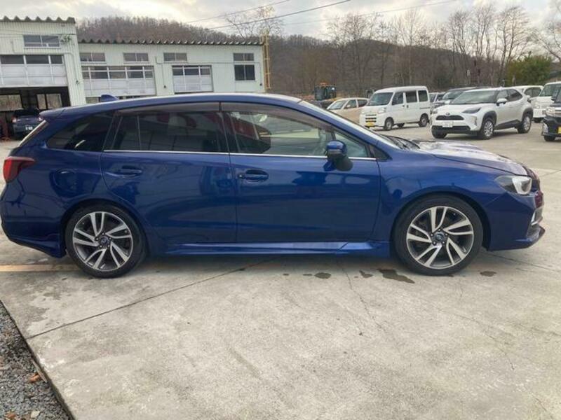 LEVORG