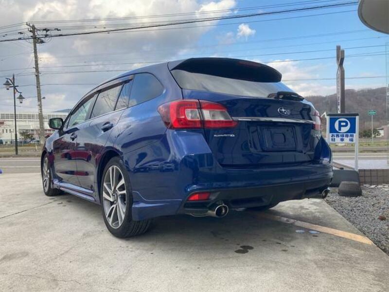 LEVORG
