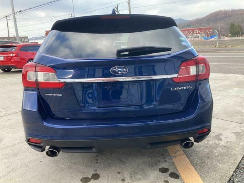 LEVORG