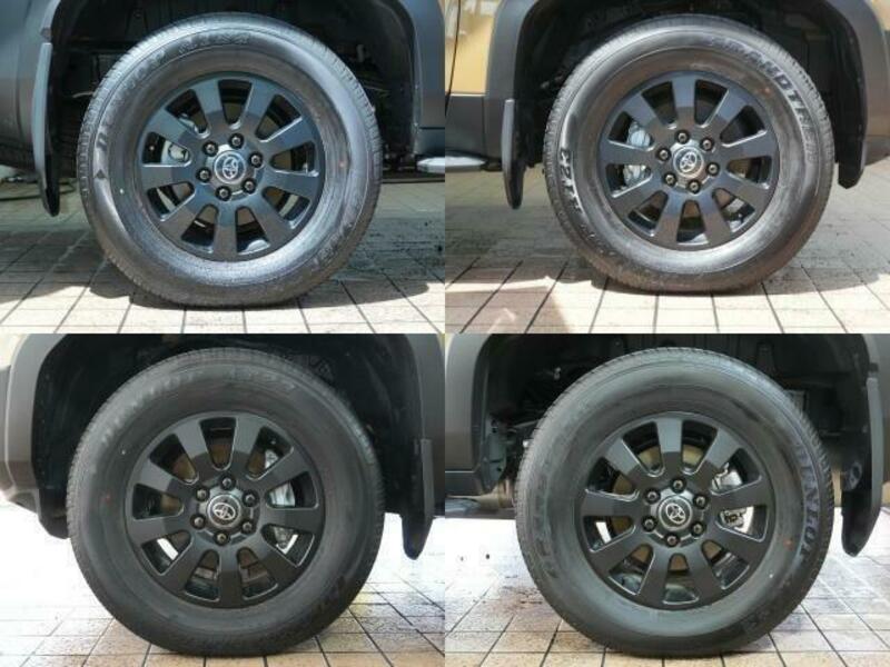 LAND CRUISER 250
