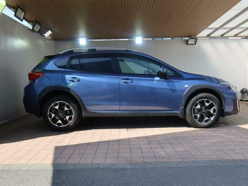 XV