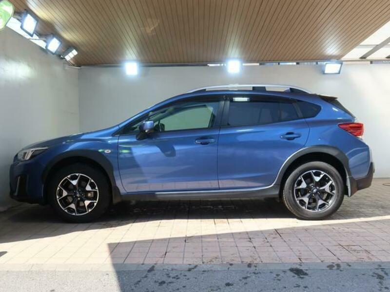 XV