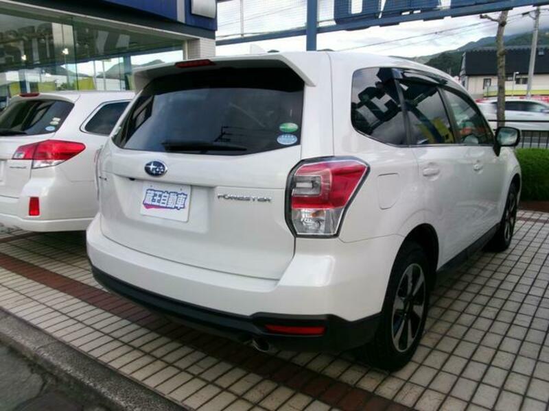 FORESTER
