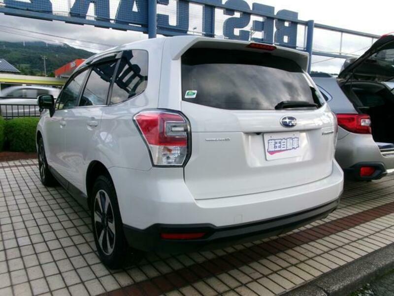 FORESTER