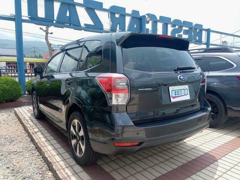 FORESTER