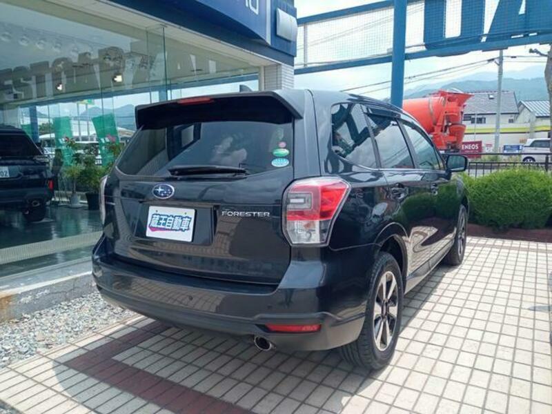 FORESTER