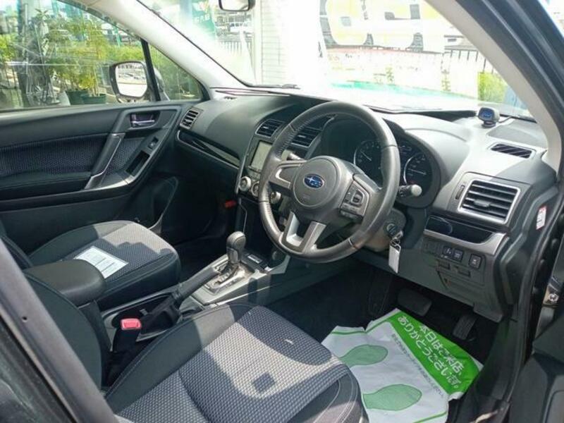 FORESTER
