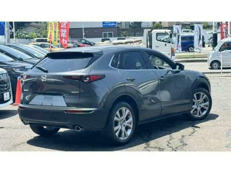 CX-30