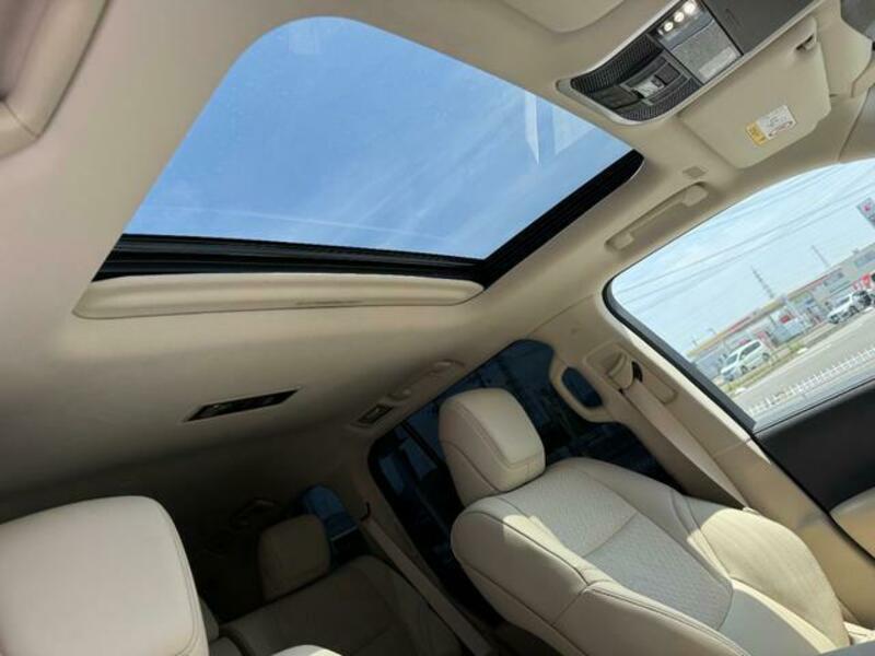 LAND CRUISER