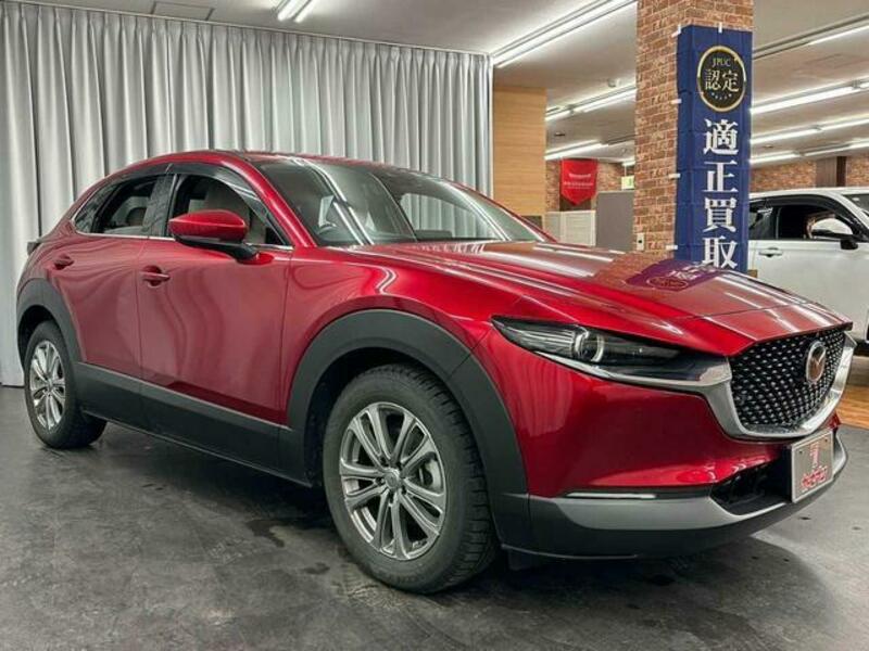 CX-30