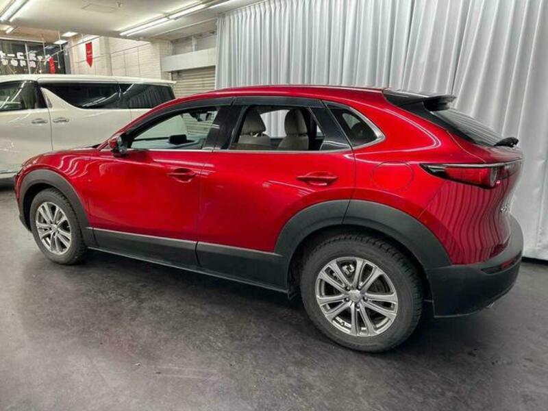 CX-30