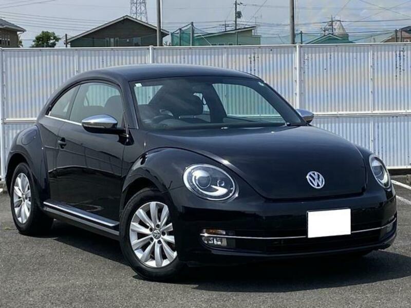 THE BEETLE