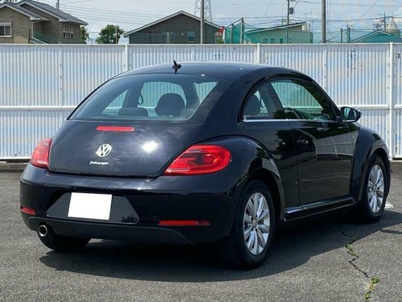 THE BEETLE