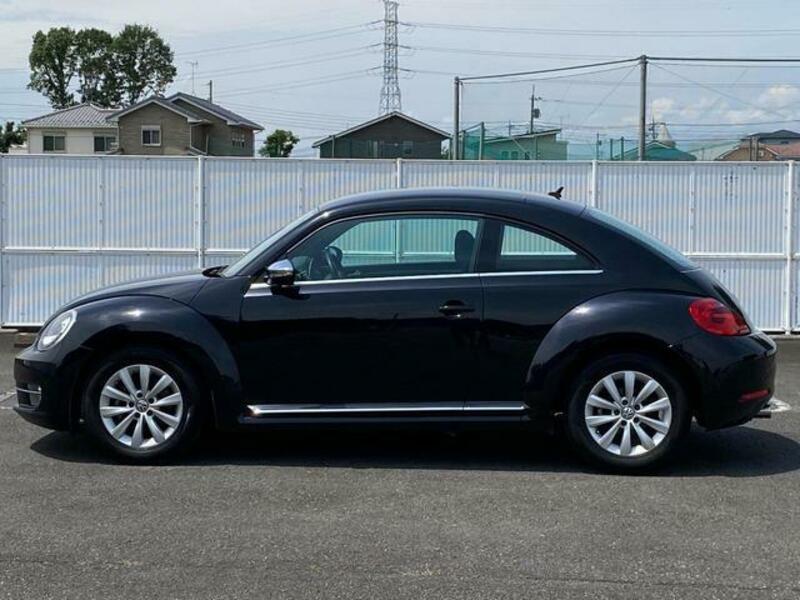 THE BEETLE