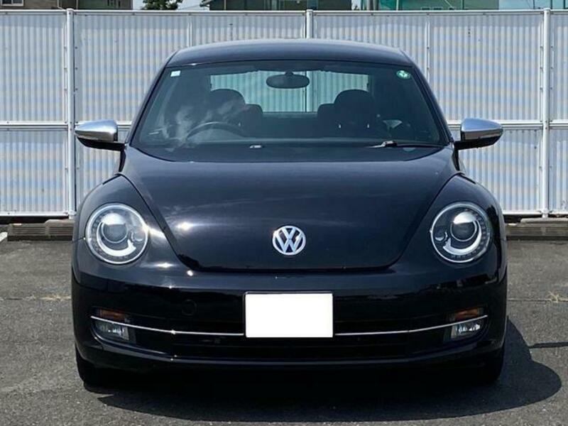 THE BEETLE