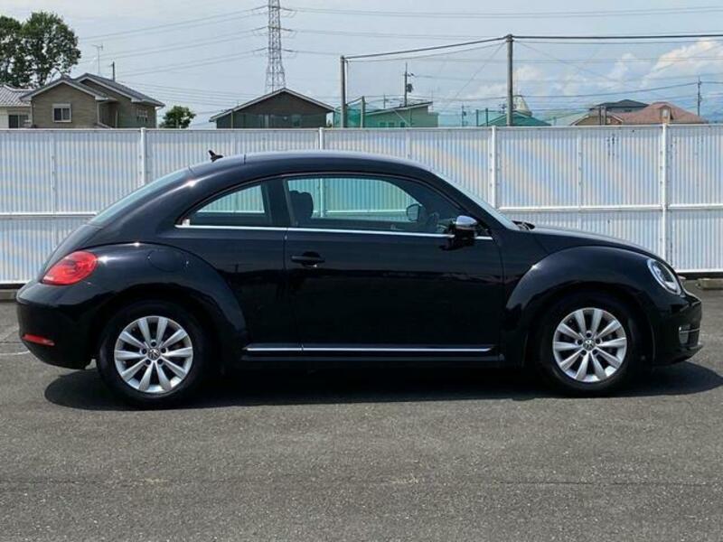 THE BEETLE