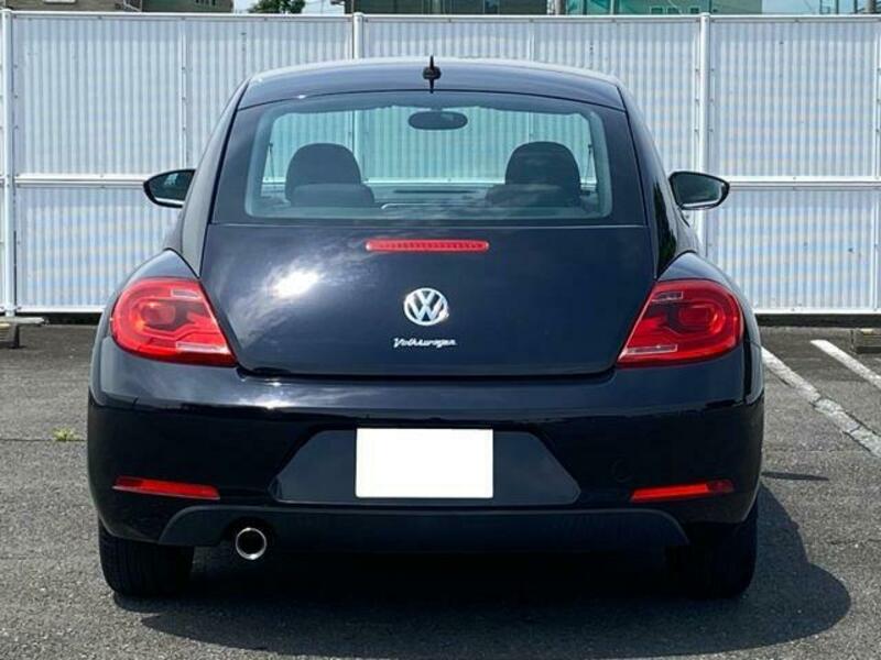 THE BEETLE