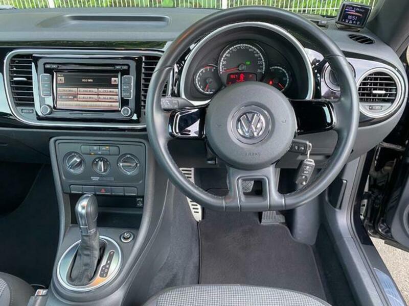 THE BEETLE
