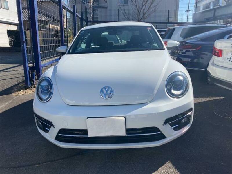 THE BEETLE