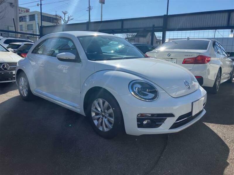 THE BEETLE