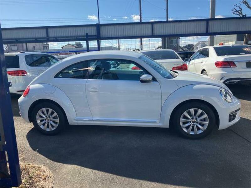 THE BEETLE