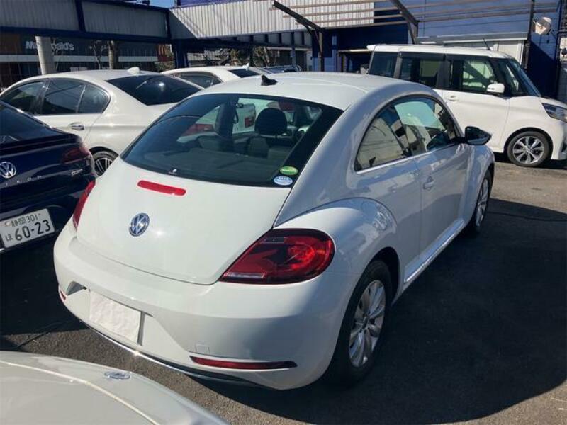 THE BEETLE