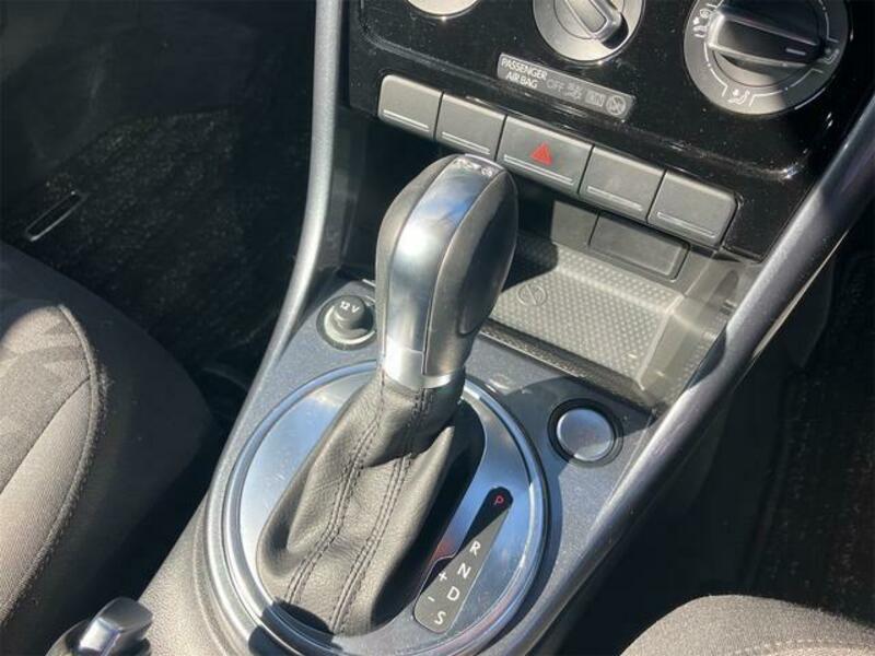 THE BEETLE