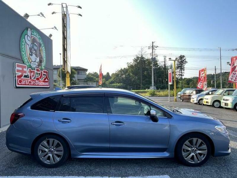 LEVORG
